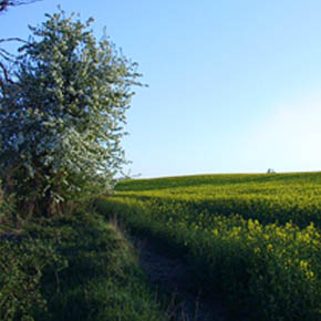 Bild 02  Anfahrt